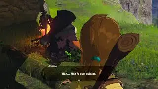Cemu 1.15.2 - Zelda Breath of the Wild
