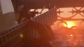 Alan Gogoll - APRICOT EYES (French Sunset - Fingerstyle Acoustic Guitar Original)