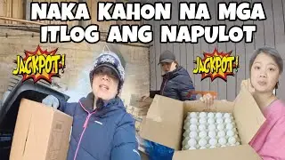 ISANG KAHON NG ITLOG ANG IBINIGAY NI MAIN BIN | DUMPSTER DIVING IN FINLAND | THAI-FINNISH 