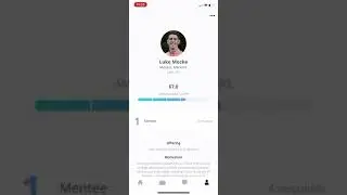 Mentorli tutorial: Mentor Experience