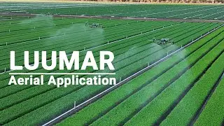 Luumar - Aerial Application
