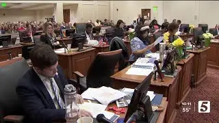 Metro Council advances housing zoning reforms on second reading