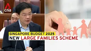 Budget 2025: New Large Families Scheme to support couples with 3 or more children