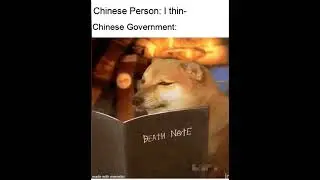 Daily FUNNY Memes Compilation #MEMES #Memesdaily #Shorts 254