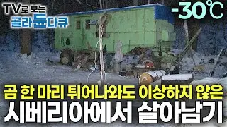 야생 호랑이와 곰이 살고 있는 시베리아 한복판에서 돈을 벌기 위한 생존 사투｜폭설과 추위 속 러시아식 생존 캠핑｜인간의 손길이 닿지 않은 야생｜러시아 벌목공｜극한직업｜#골라듄다큐