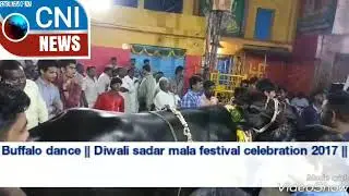 Buffalo dance || Diwali sadar mala festival celebration 2017 || Hyderabad