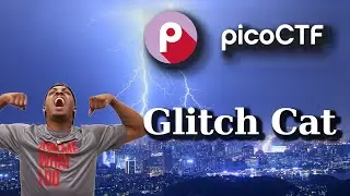PicoCTF Walkthru [75] - Glitch Cat
