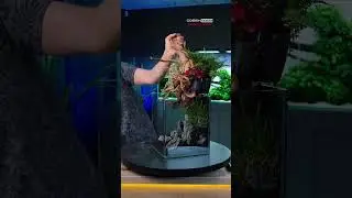 Nano Aquarium With A TWIST!😵&zwj;💫 | Thursday Teaser by Green Aqua