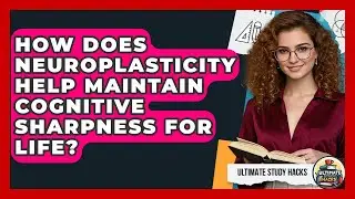 How Does Neuroplasticity Help Maintain Cognitive Sharpness For Life? - Ultimate Study Hacks