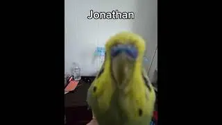 Day 104 of Jonathan