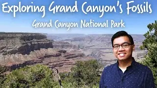 Exploring Grand Canyon's Amazing Fossils at the Alf Museum - Grand Canyon | OutSCIder Classroom