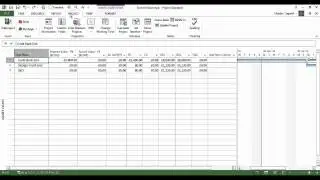 Earned Value Table in MS Project
