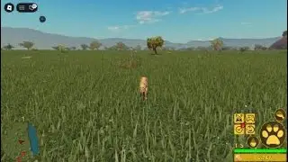 leopardo andando