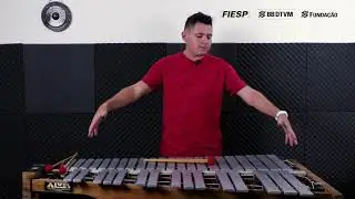 Curso de Capacita&ccedil;&atilde;o em Percuss&atilde;o - Aula 6 - Vibrafone