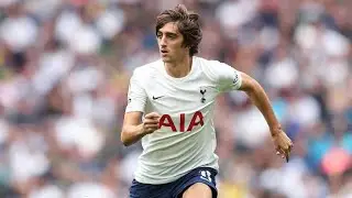&Uacute;NICO GOL DE BRYAN GIL PELO TOTTENHAM 