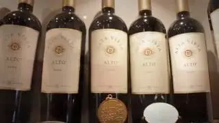 Vinos y Placeres 2016 Bodega ALTAVISTA