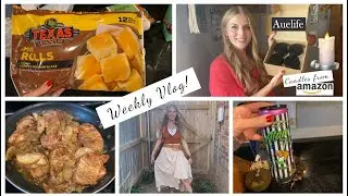 Vlog! Auelife Fall candle review, Ren Faire ootd, Fall dinner idea, Dollar Tree haul, & more!