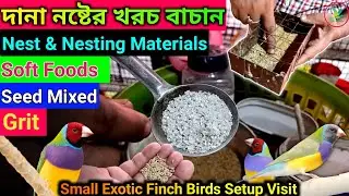 Small Exotic Finch Birds Soft Foods, Seed Mixed,Grit,Care And Breeding Information||KUILA For EVER