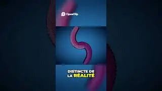 Immortalit&eacute; Quantique   Votre Conscience Survient elle