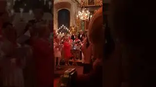 Happy Christmas LoVisakören