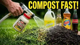 Dissolve Grass Clippings Faster Compost Mulch Your Lawn Beer Cola Ammonia Dish Soap Lawn Tonic