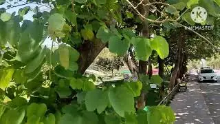 CV9F+3G6, Royal village, Daman Rd, Kunta, Vapi, 396210