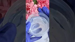 Sodium Hyaluronate Acid: The Best Way To Dissolve & Apply It