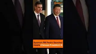 Spanish PM Pedro Sanchez meets Chinese President Xi
