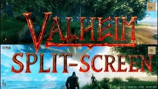 How To Play Valheim Split-Screen On PC