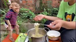That day the little monkey went to buy noodles for his mother to cook for him to eat, very so smart.