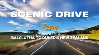 Balclutha to Dunedin Drive 2025 4K | Scenic New Zealand Driving Tour in Relaxing Music