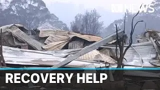Backpackers to help Australian bushfire recovery efforts under new visa rules | ABC News