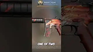 The Rarest Howl in CSGO...
