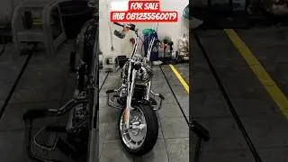 Fatboy 2023 two tonesPaper (off the road bikerplus)Copy form A #harleydavidson #fyp #viral