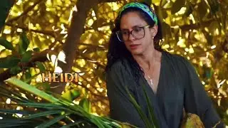 Survivor Old School vs New School (This Side Up)