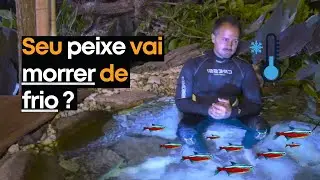SEU PEIXE MORRE DE FRIO? | Inverno chega 1 mês antes. Como ficam os peixes o lago? | LAGO NA PRÁTICA