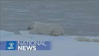 Report released on helicopter crash that killed three people in Nunavut | APTN News
