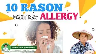 10 RASON BAKIT MAY ALLERGY