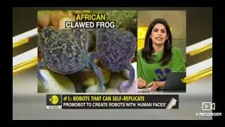 Xenobots ! Robots that reproduce genetically altered robots - Sci-Fi is Real!