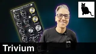 Trivium: VCF/VCA/Envelope combo from Weston Precision Audio & Trovarsi