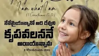 MDPM Kondapalli is live
