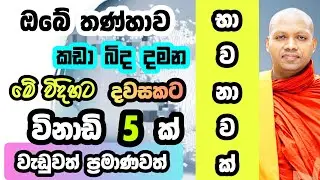 ඔබේ තණ්හාව කඩා බිද දමන භාවනාවක්‌ | Hasalaka Seelawimala |හසලක සීලවිමල හිමි|#hasalakaseelawimalathero