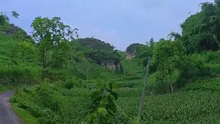 Pesona Keindahan Jalur Pegunungan Kars di Soko-Tuban
