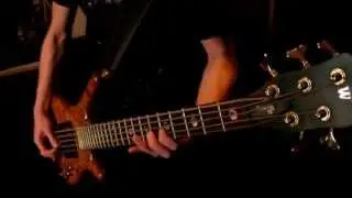 Cryptic Forest - King Of Cryptic Forest Bass Cover