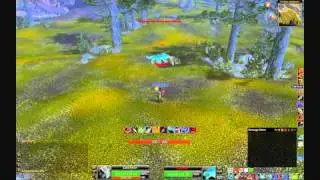 Guide to Taming Karoma: Wolf Spirit Beast