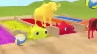 Kids like magic, animals, funny actions.Words: Magic, Flying, Funny, Baby, #funny #shorts #viral #