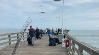 Fishing 𝐀𝐝𝐯𝐞𝐧𝐭𝐮𝐫𝐞𝐬 𝐰𝐢𝐭 𝐈 𝐏𝐚𝐭𝐭𝐚 is live! Pier fishing