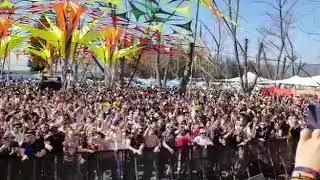 Faders @ Purim Festival 2018 - Mahadeva Remix