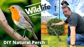 GARDEN WILDLIFE PHOTOGRAPHY UK | Ep 3 | Making a Natural Perch for Birds