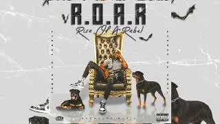 REASON - Acemok Da Rebel ft. Liquid Flowz, Outlaw & HR The Messenger (Official Audio)(ROAR)